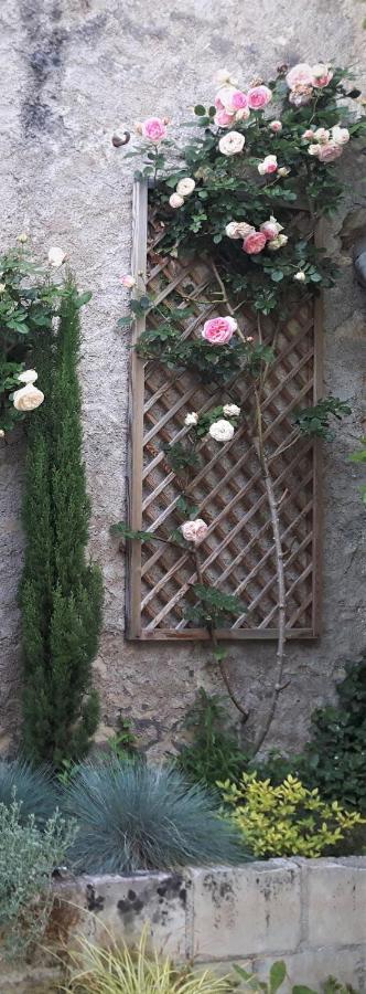 Hotel De Biencourt Azay-le-Rideau Ngoại thất bức ảnh